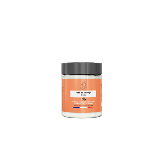 Pâte de coiffage Félix 100 mL